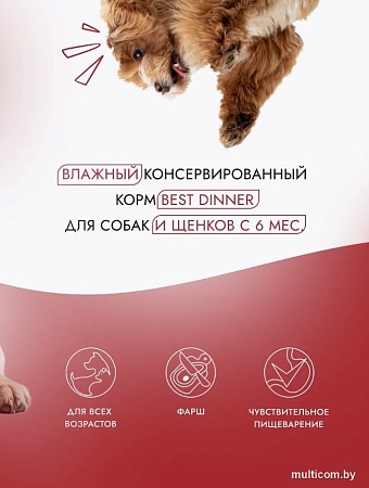 Консервированный корм для собак Best Dinner Для щенков и взрослых собак Ягненок с томатами (850 г)