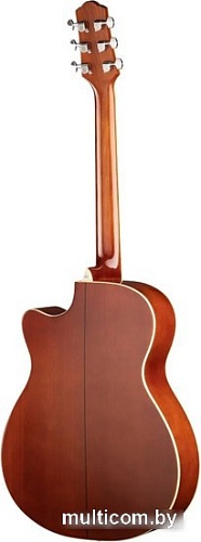 Акустическая гитара Naranda TG220CNA
