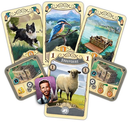 Настольная игра Звезда Великий Западный путь. Новая Зеландия 8420