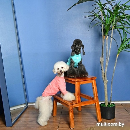 Футболка Pinkaholic Gwyneth NATA-TS7559-MF-S (розовый)