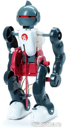 Набор для опытов Bondibon Науки с Буки Робот-акробат ВВ0989