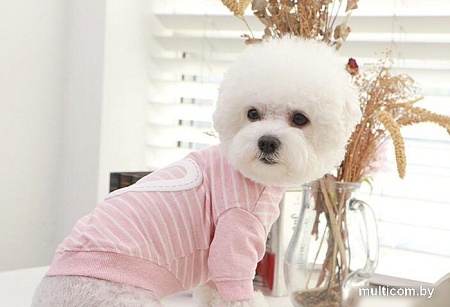 Футболка Pinkaholic Aviana NARA-TS7304-MP-M (розовый)