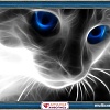 Алмазная мозаика Алмазная Живопись Кошачий взгляд АЖ-1232