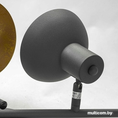 Спот Lussole Loft GRLSP-9976