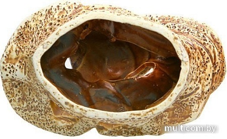 Декорация Орловская керамика Черепаший пляж малый