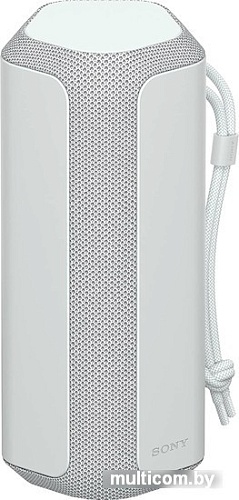 Беспроводная колонка Sony SRS-XE200 (серый)