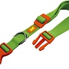 Ошейник Ferplast Club Colours C20/56 75260903 (зеленый)