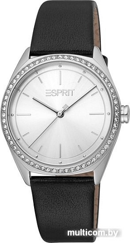 Наручные часы Esprit ES1L289L0015