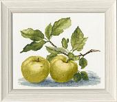 Набор для вышивания Золотое руно Антоновка по мотивам картины Н. Зубковой ФС-005