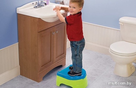 Детский горшок Summer Infant My Fun Potty 11400 (салатово-голубой)