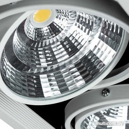 Точечный светильник Arte Lamp Merga A8450PL-3WH