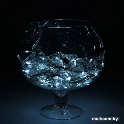 Гирлянда Luazon Метраж Led-100 (10 м, белый) [1080032]