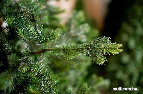 Ель Green Trees Брено Люкс 2.1 м