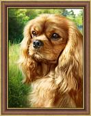 Алмазная мозаика Алмазная Живопись Спаниель АЖ-1792