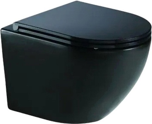 Унитаз WeltWasser Merzbach 043 MT-BL