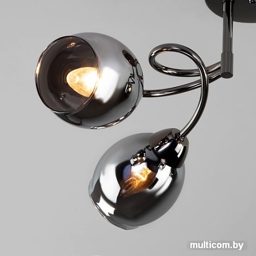 Люстра средней высоты Евросвет Roselyn 30171/4 (черный жемчуг)