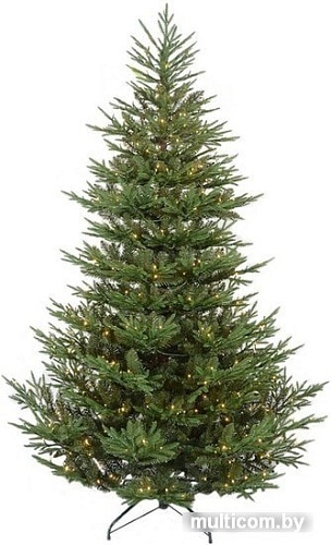 Ель GrandSiti Виктория плюс 2.4 м