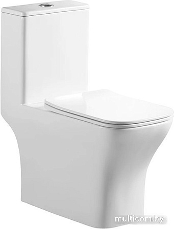 Унитаз напольный Azario Lodi AZ-8617