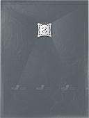 Душевой поддон RGW ST-0139G 16152913-02 90x130