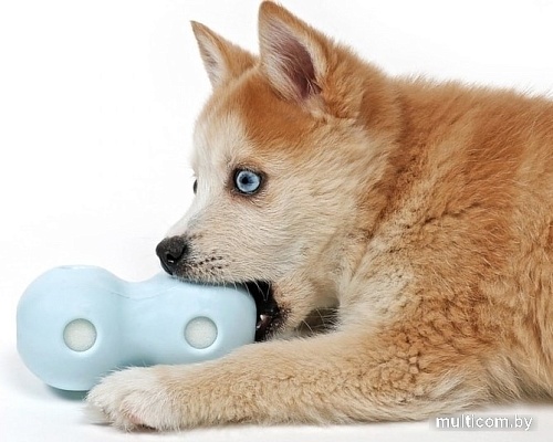 Игрушка для собак EBI Petit Coco 309/449417