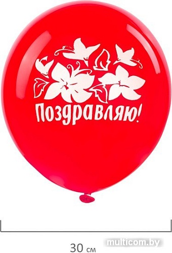 Набор воздушных шаров Золотая сказка Поздравляю 105015 (5 шт, 5 цв)