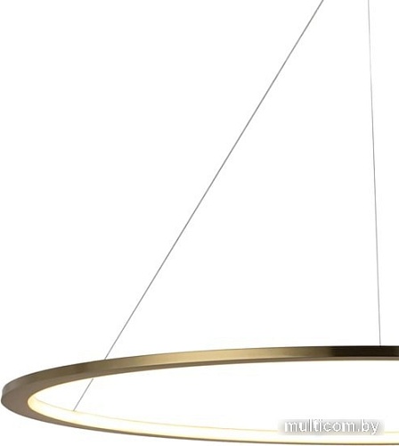 Подвесная люстра LOFT IT Ring 10014XXL
