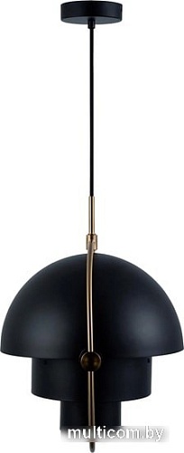 Подвесная люстра LOFT IT Multi-Lite LOFT9915-BL
