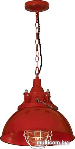 Подвесная люстра Lussole Loft GRLSP-9895