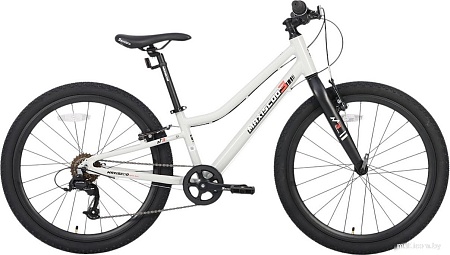 Велосипед Maxiscoo 3bike 24 L 2025 MSC-M3-2403 (серый)