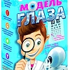 Набор для опытов Bondibon Науки с Буки Модель глаза ВВ1179