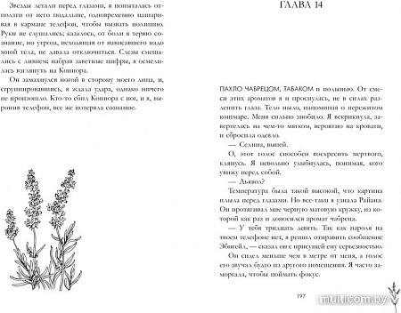 Книга издательства Clever. Лавандовая ветвь (Хейл Х.)