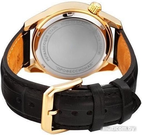 Наручные часы Спецназ С9379361-82S0