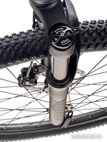 Велосипед Totem Master-29HDA (серый)