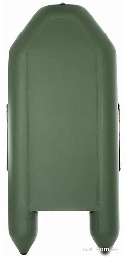 Моторно-гребная лодка Тонар Капитан 260Т (зеленый)