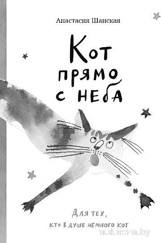 Книга издательства Самокат. Кот прямо с неба (Шанская Анастасия)