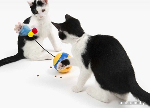 Игрушка для кошек Catit Пчела-волчок