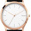 Наручные часы Skagen SKW1102
