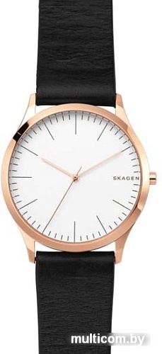 Наручные часы Skagen SKW1102