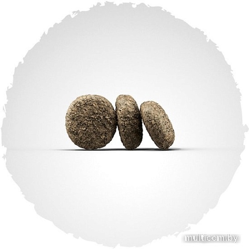 Сухой корм для собак Josera MiniDeluxe 900 г