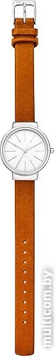 Наручные часы Skagen SKW2479