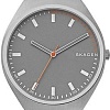 Наручные часы Skagen SKW6387
