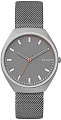Наручные часы Skagen SKW6387