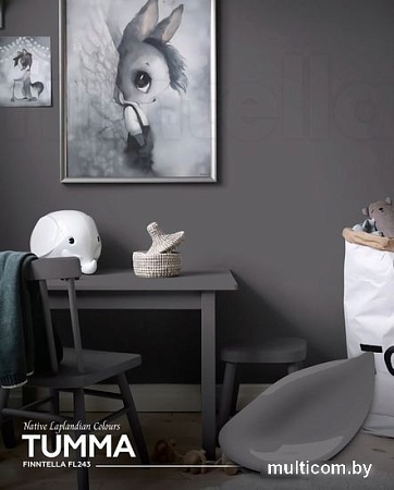Краска Finntella Foxy Lapselli Matte Tumma F-50-1-1-FL243 0.9 л (серый)