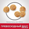 Сухой корм для кошек Hill's Science Plan Adult 1-6 Chicken для взрослых кошек для поддержания жизненной энергии и иммунитета, с курицей 10 кг