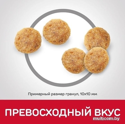 Сухой корм для кошек Hill's Science Plan Adult 1-6 Chicken для взрослых кошек для поддержания жизненной энергии и иммунитета, с курицей 10 кг