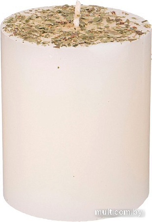 Ароматизированая свеча Adpal 348-898