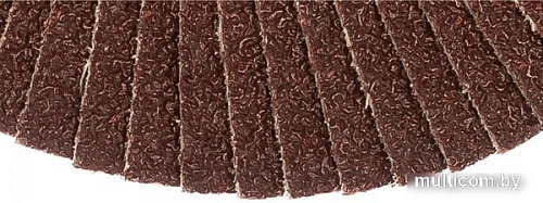 Шлифовальный круг Targ 663405