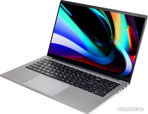 Ноутбук Hiper Expertbook MTL1601B1135DS