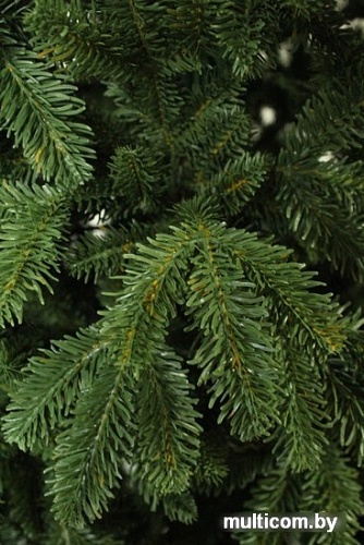 Ель Beatrees Meridian 2.2 м