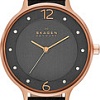 Наручные часы Skagen SKW2267